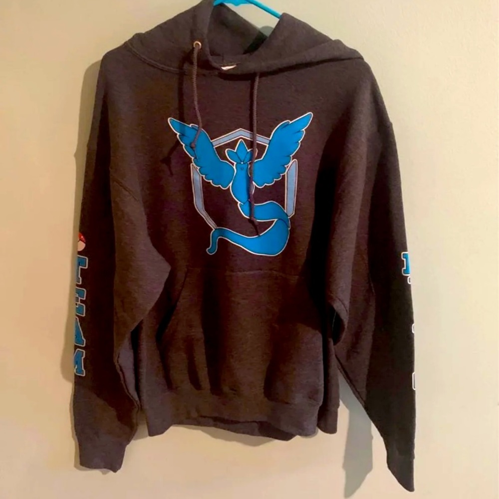 Pokémon Hoodie
